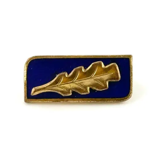 DDR Abzeichen der Sportklassifizierung 1961 bis 1981 für Jugendliche in Gold