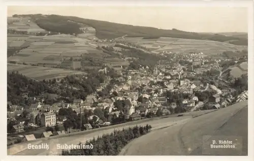AK Graslitz Stadtpanorama Sudetenland ungelaufen Postkarte