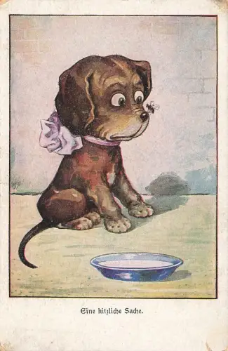 AK Eine kitzliche Sache süßer Hund Fliege auf Nase 1918 Postkarte