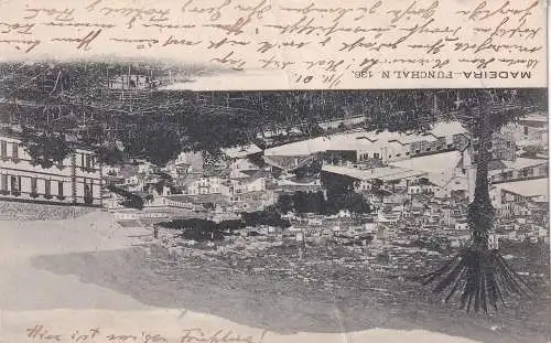 Portugal Madeira 1901 Ansichtskarte