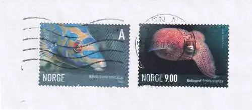 Norwegen 2006 Zentraler Rund / Vollstempel