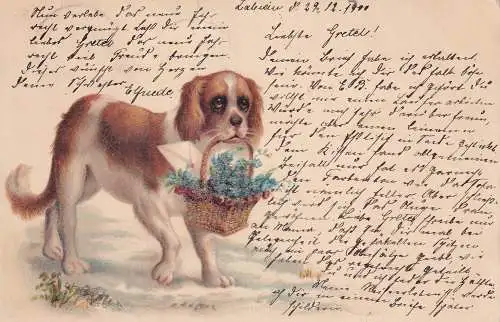 Deutsches Reich 1900 Nr 55 Brief