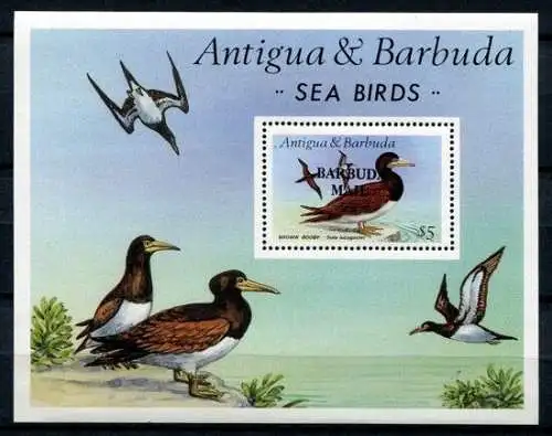 Barbuda 1987 Vögel Wasservögel Birds Oiseaux Uccello Block 122 Postfrisch MNH