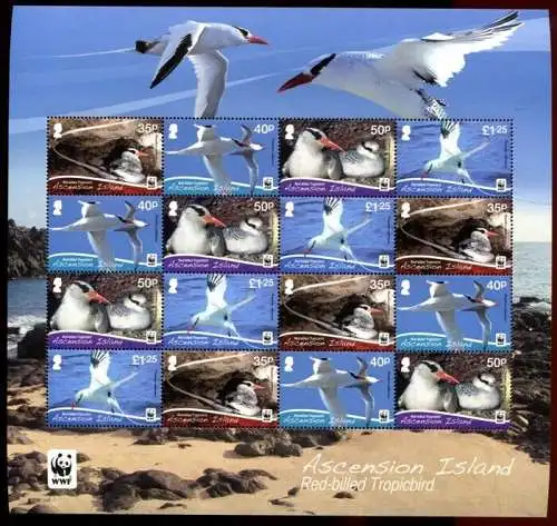 Ascension 2011 WWF Vögel Birds Seevögel Uccelli Oiseaux ZD-Kleinbogen Postfrisch