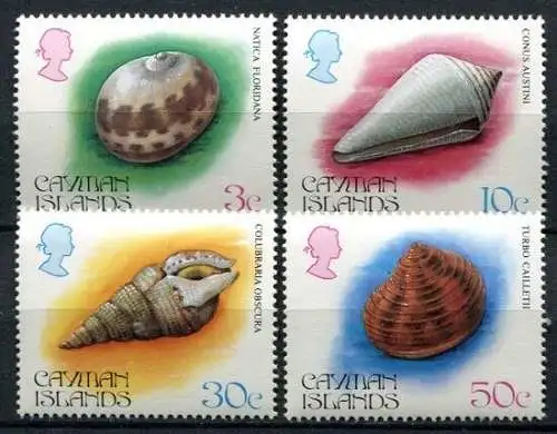 Kaiman-Inseln Cayman 1984 Muscheln Schnecken Weichtiere Shells 522-525 MNH
