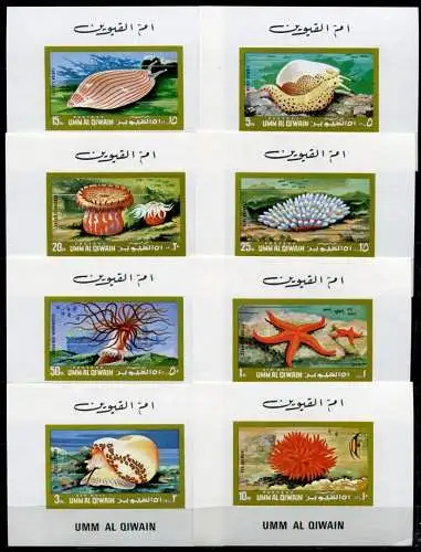 Umm Al-Qiwain 1972 Meerestiere Sea Life Seestern Weichtiere 682-89 Blocksatz MNH