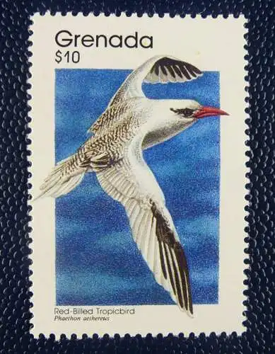 Grenada 1989 Seevogel Vogel Bird Oiseaux Freimarke 2048 A MNH