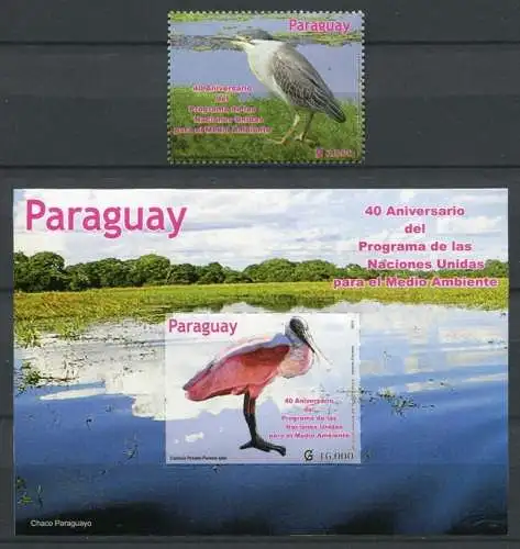 Paraguay 2012 Vögel Birds Uccelli Oiseaux 5172 Block 494 Postfrisch MNH