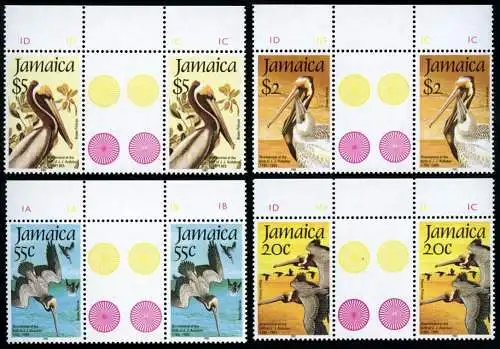 Jamaika Jamaica 1985 Pelikane Vögel Birds Audubon 603-606 Gutter Pairs MNH