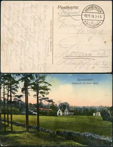 Dt. Militärmission Türkei 1918 AK Hammerstein Rücktransport Westpreußen / 179