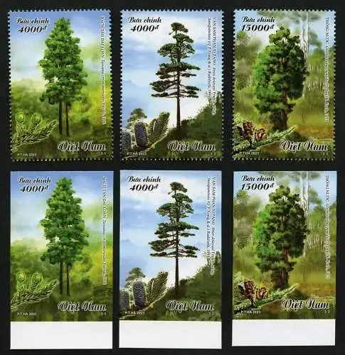 Vietnam 2023 Edelholzbäume Bäume Pflanzen Trees Plants 3982-3984 MNH