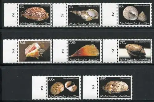 Niederländische Antillen 2008 Meeresschnecken Sea Shells 1657-1664 I MNH