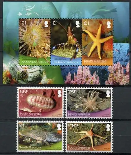Südgeorgien 2013 Meerestiere Seestern Shallow Marine Surveys Postfrisch MNH