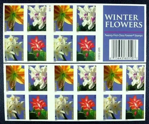 USA 2014 Winter Blumen Flowers Blüten Blossoms Markenheft MNH