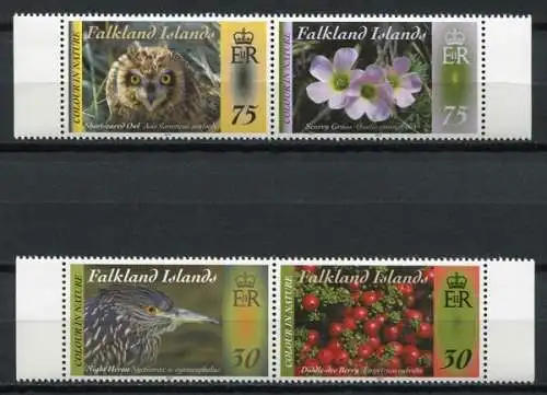 Falklandinseln 2012 Vögel Eule Pflanzen Birds Plants MNH