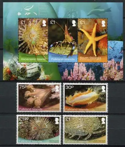 Falklandinseln 2013 Meerestiere Seestern Shallow Marine Surveys Satz + Block MNH