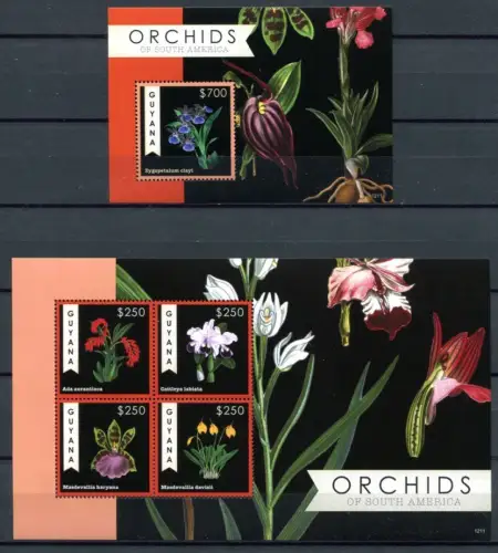 Guyana 2012 Orchideen Orchids Blumen Flowers Plants 8303-6 Block 853 MNH