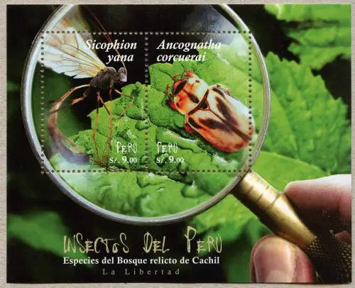 Peru 2017 Block Insekten Insects Käfer Beetle Mücke Neue Spezies MNH