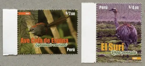 Peru 2023 Vögel Birds Dornschwanzvogel Einheimische Tiere MNH
