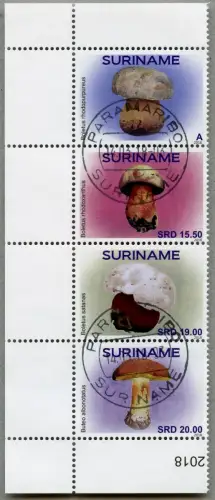 Surinam 2018 Pilze Mushrooms Funghi Paddenstoelen Natur Gestempelt CTO