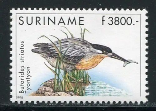 Surinam 1998 Vögel Birds Uccelli Oiseaux Reiher Freimarke 1671 MNH