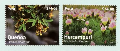 Peru 2022 Blumen Blüten Pflanzen Flowers Blossoms Plants Natur MNH