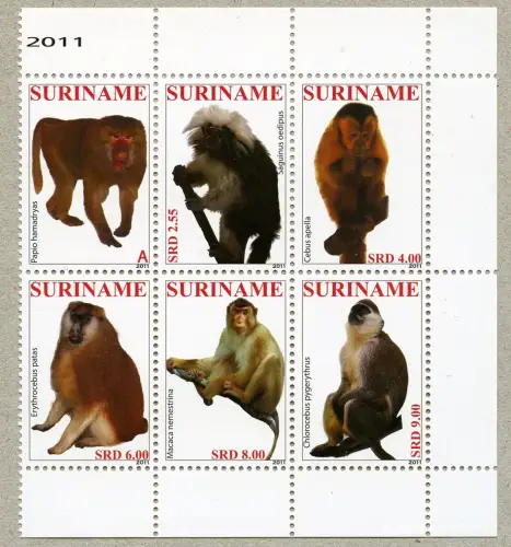 Surinam 2011 Affen Primaten Apen Monkeys Pavian Meerkatze 2501-2506 MNH