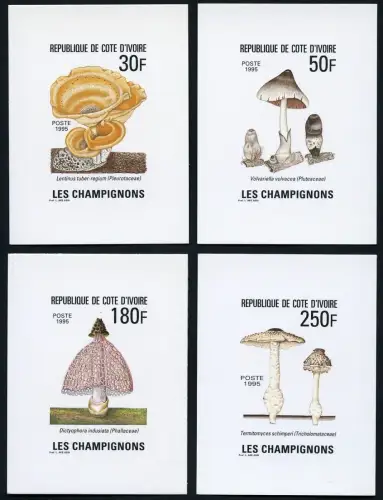Elfenbeinküste 1995 Pilze Probedrucke auf Karton in Blockform 1142-1145 MNH
