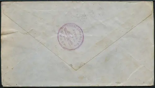 Brasilien 1930 Brief Flugpost Nyrba + US-Frankatur Rio Miami Tokio Japan / 1278