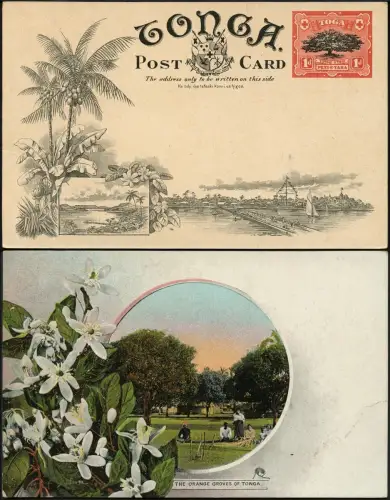 Tonga 1906 Bildpostkarte in Farbe Ganzsache Orange Groves Ungebraucht / 704