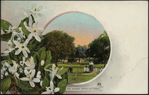 Tonga 1906 Bildpostkarte in Farbe Ganzsache Orange Groves Ungebraucht / 704