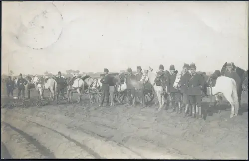 Kiautschou 1909 Foto-AK Militär/Pferde ° Tsingtau 15.11.09 Lokalpost 1 Cent/ 121