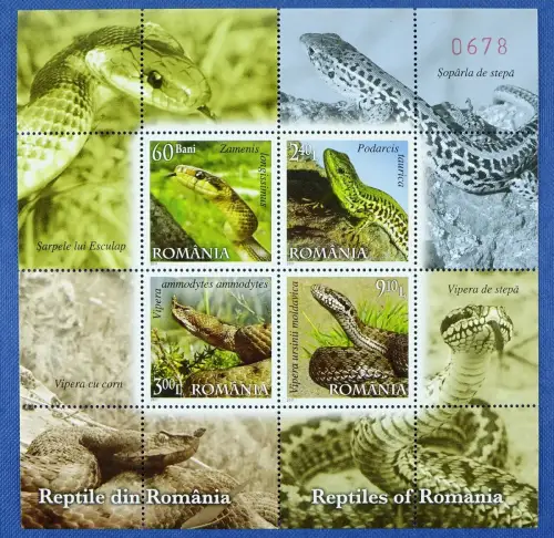 Rumänien Romania 2011 Schlangen Snakes Reptilien Reptiles Block 489 MNH nur 1000