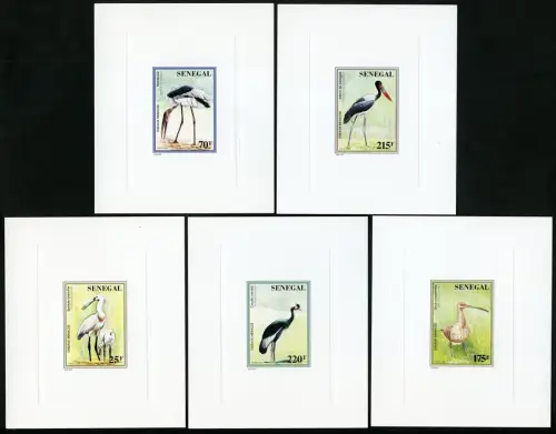   Senegal 1997 Vögel Storch Marabu Löffler 1463-1467 Epreuve Deluxe MNH / 848