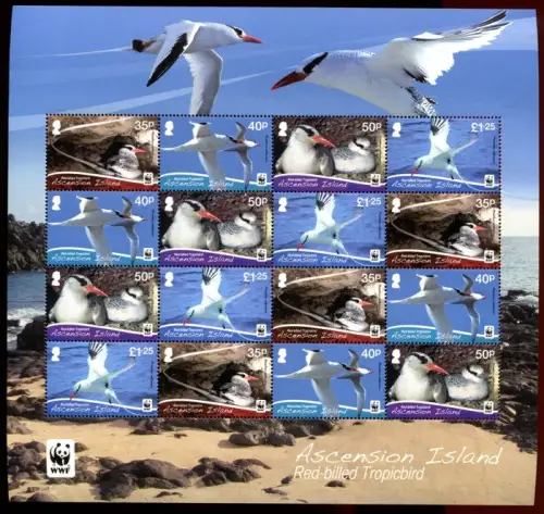 Ascension 2011 WWF Vögel Birds Seevögel Uccelli Oiseaux ZD-Kleinbogen Postfrisch