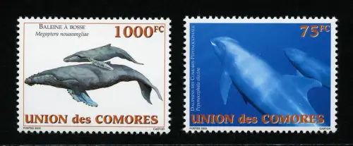 Komoren 2003 Wale Whales Meerestiere Meeressäugetiere Postfrisch MNH