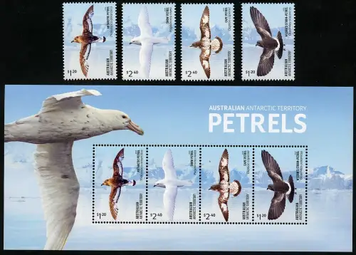 AAT Australische Antarktis 2024 Sturmvögel Seevögel Vögel Petrels Birds MNH