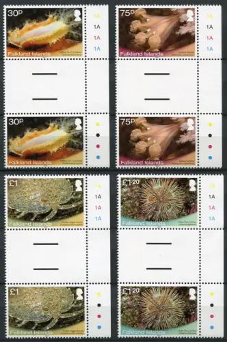 Falklandinseln 2013 Meerestiere Seestern Shallow Marine Surveys Stegpaare MNH