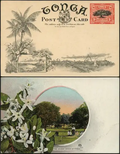 Tonga 1906 Bildpostkarte in Farbe Ganzsache Orange Groves Ungebraucht / 704