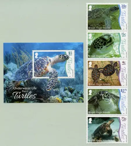 Jungferninseln 2017 Schildkröten Meeresschildkröten 1274-1278 Block 122 MNH