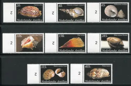 Niederländische Antillen 2008 Meeresschnecken Sea Shells 1657-1664 I MNH
