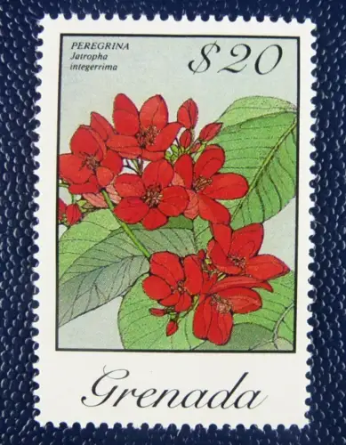 Grenada 1986 Blüten Blossoms Blume Pflanze Plant Flower Freimarke $20 1490 MNH