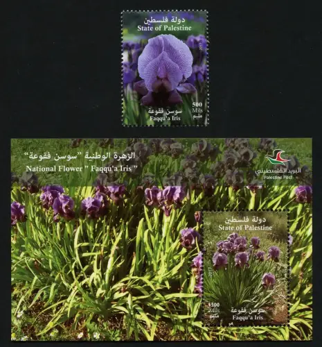 Palästina Palestine 2017 Iris Nationalblume National Flower Blüte Blossom MNH