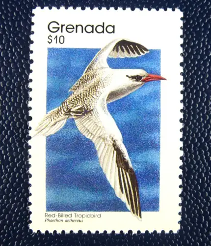 Grenada 1989 Seevogel Vogel Bird Oiseaux Uccello Freimarke 2048 C Postfrisch MNH