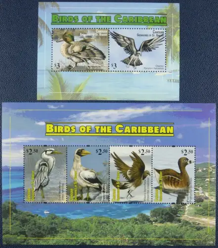 St. Vincent Canouan 2011 Vögel Birds Oiseaux Wasservögel 173-76 Block 14 MNH