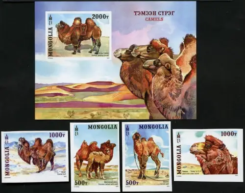 Mongolei 2022 Kamele Camels Nutztiere Tiere Reittiere Ungezähnt Imperf MNH