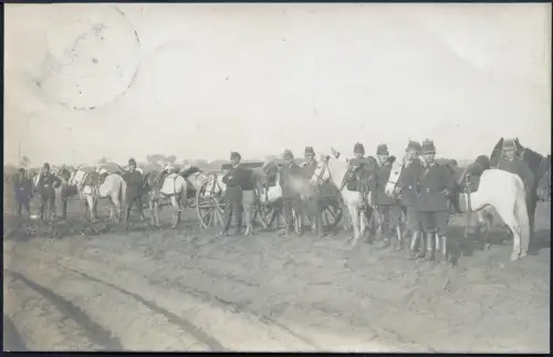 Kiautschou 1909 Foto-AK Militär/Pferde ° Tsingtau 15.11.09 Lokalpost 1 Cent/ 121