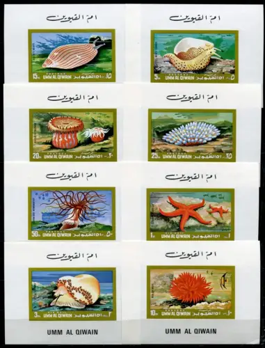 Umm Al-Qiwain 1972 Meerestiere Sea Life Seestern Weichtiere 682-89 Blocksatz MNH