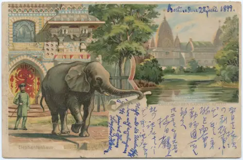 Dt. Reich 1899 AK Zoo Elefantenhaus Berlin via USA Yokohama Japan / 2132