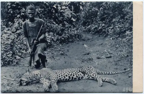 Togo 1912 AK Leopardenjagd Lome 12.3.12 nach Tübingen / 95